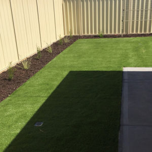 Synthetic Turf 2